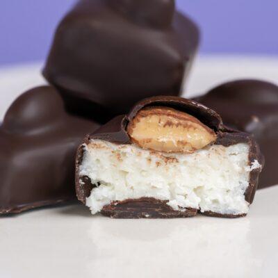 Dark Chocolate Coconut Almond Joy Bars